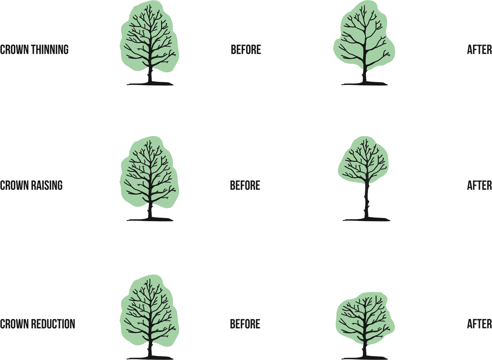 Tree Pruning Methods