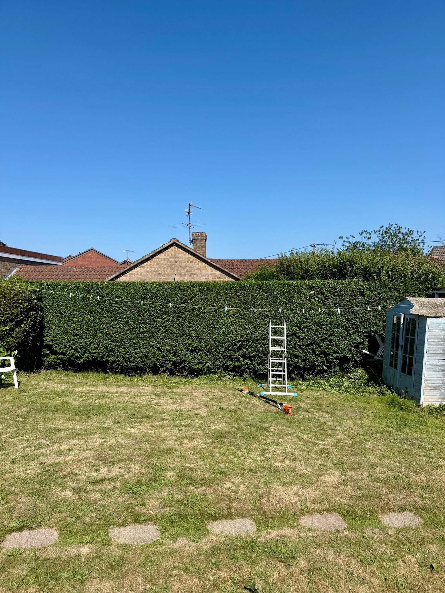 Hedge Cutting