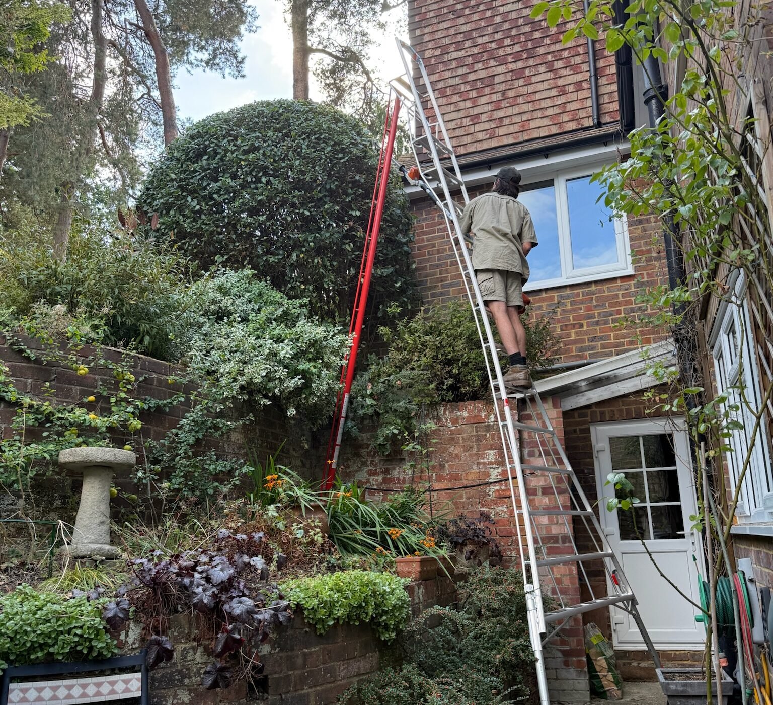 Hedge Cutting